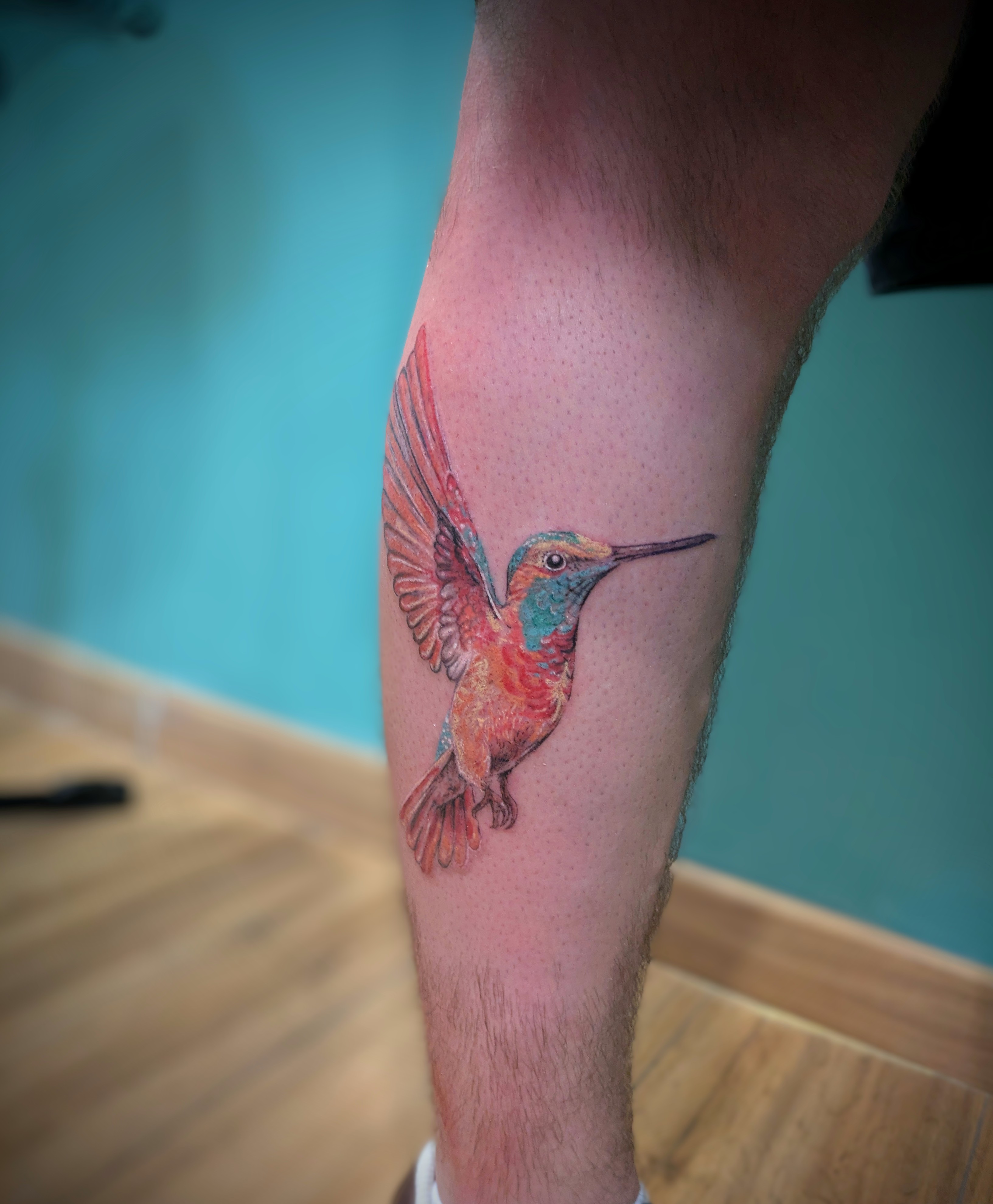 Colibri Coloré