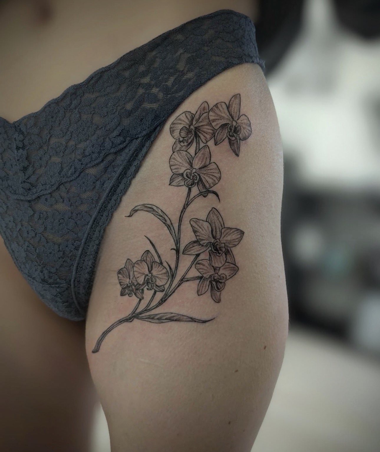 Orchidées